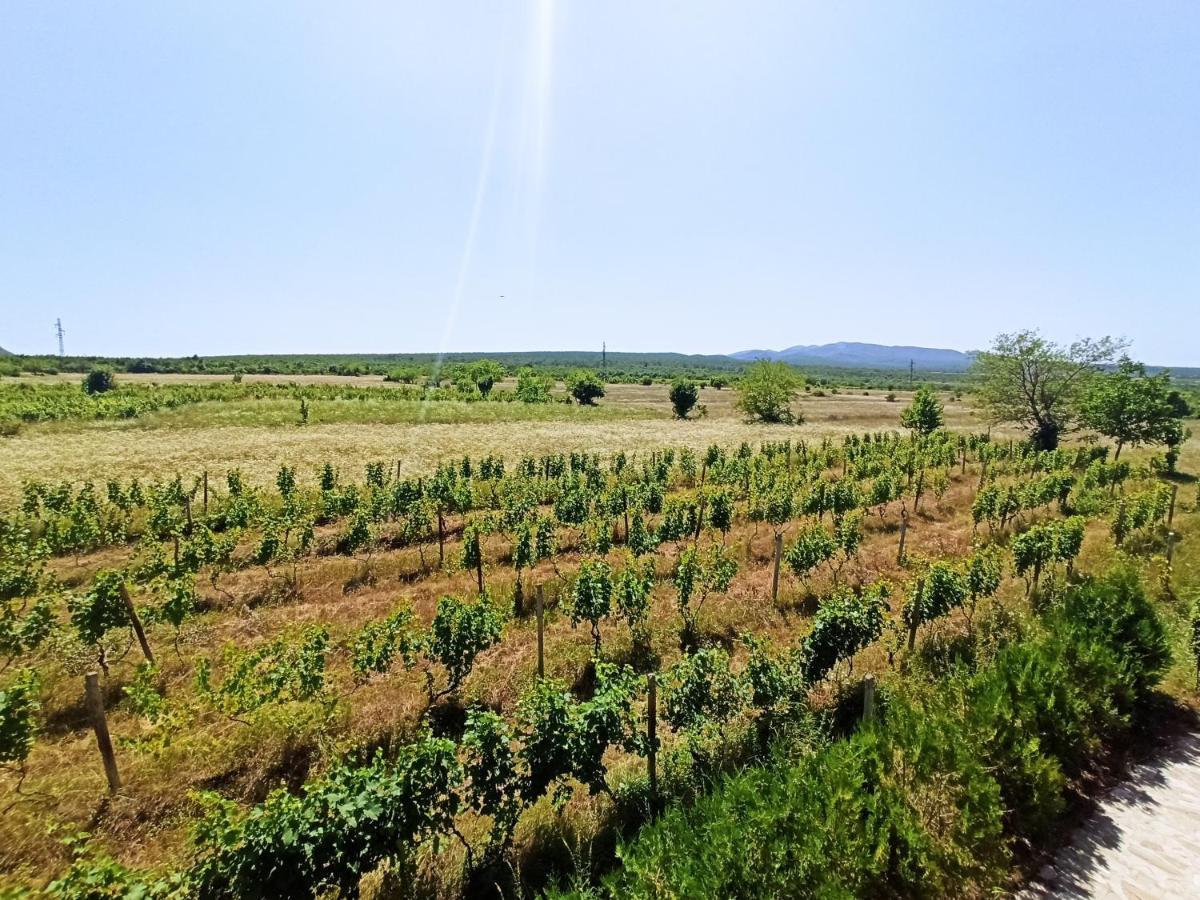 Chateau Tetri Bairagebi White Flags Kisiskhevi Luaran gambar