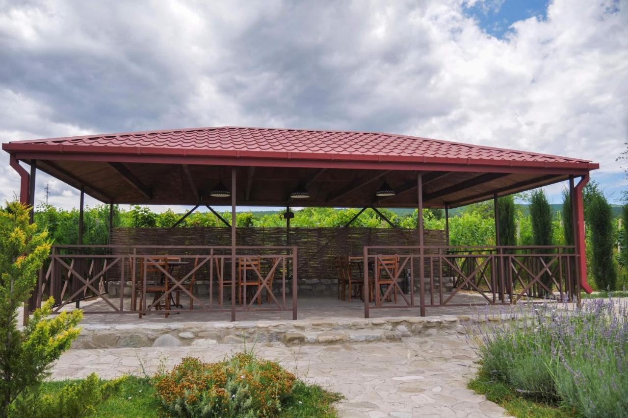Chateau Tetri Bairagebi White Flags Kisiskhevi Luaran gambar